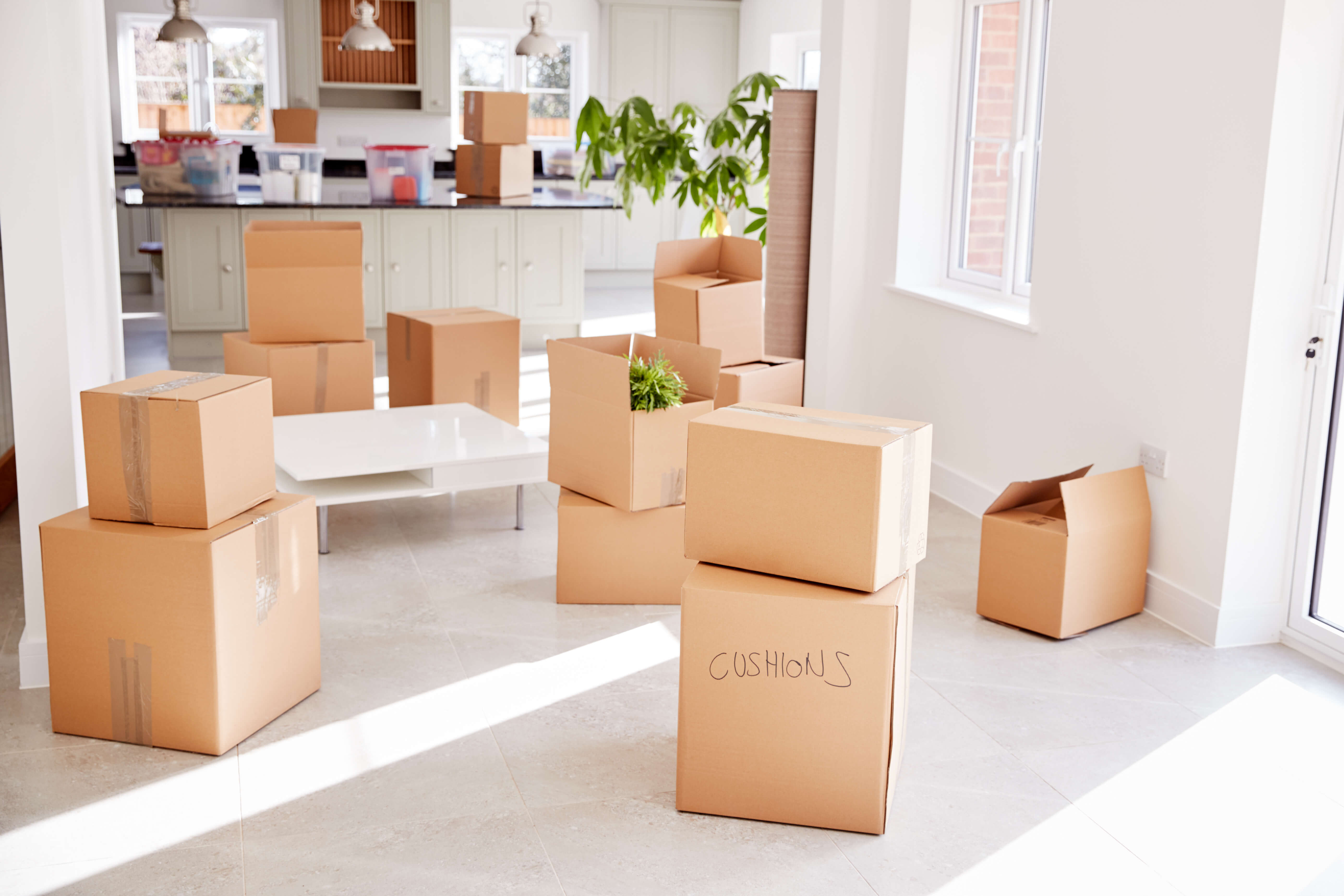 Professional Organizer in Denver Unpacking Services