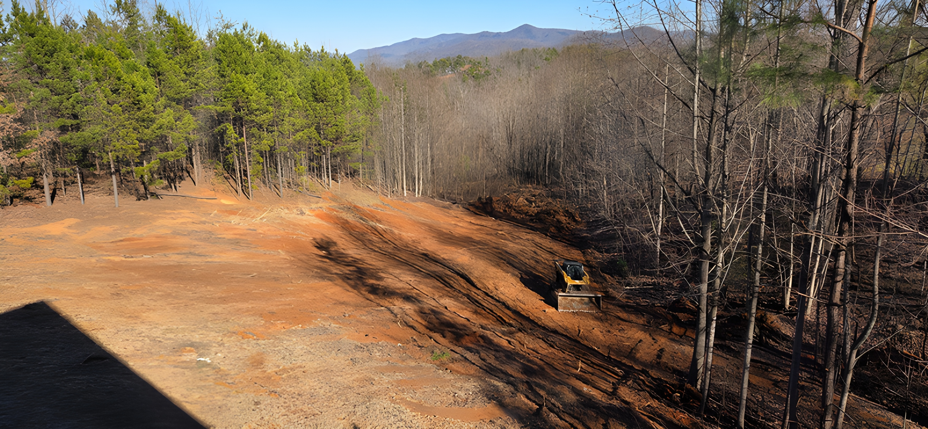 Lawn Care Hero Image