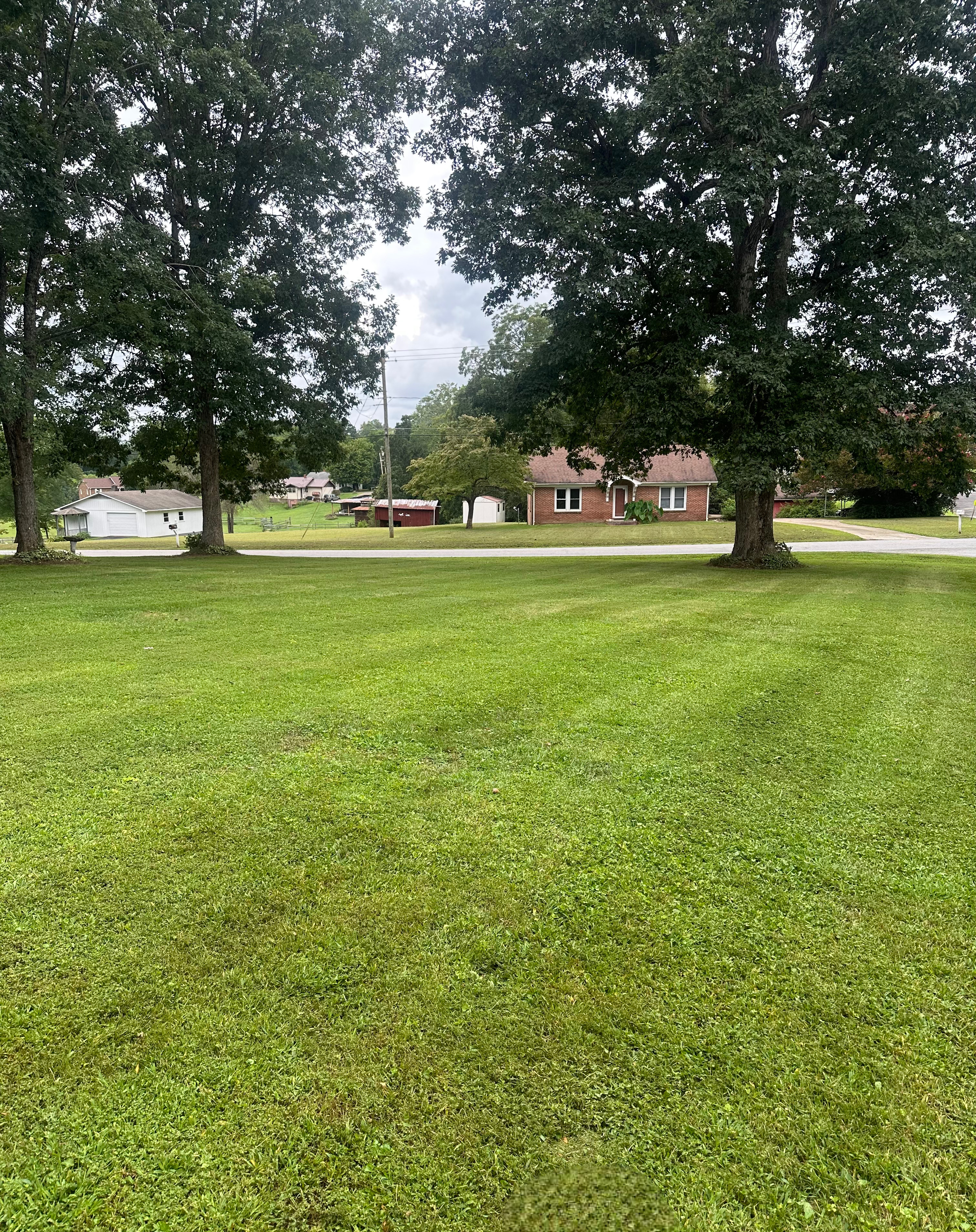 Mowing and Landscaping