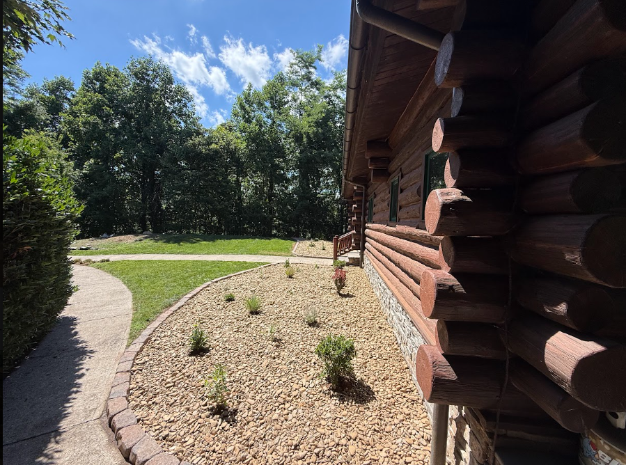 Recent Project