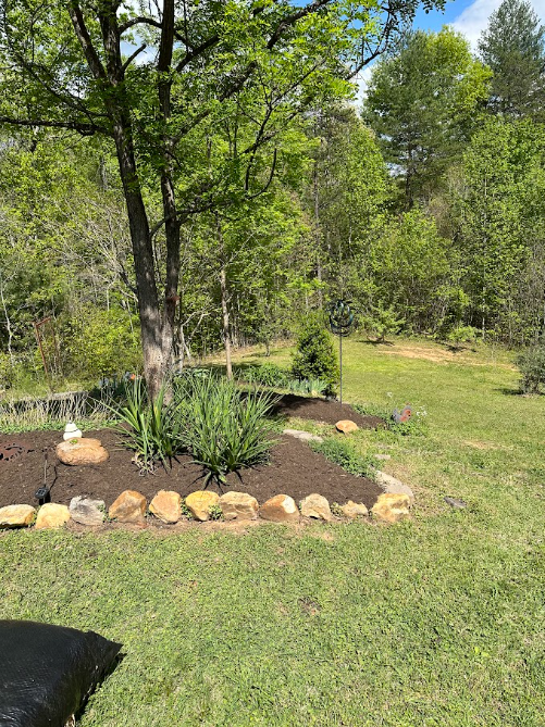 Recent Project