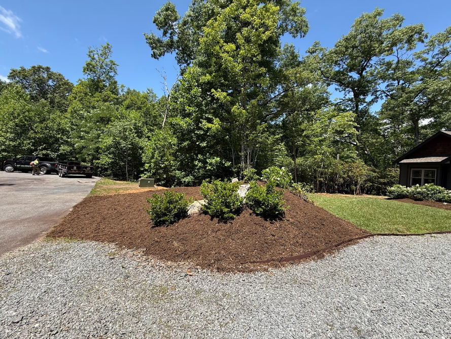 Recent Project
