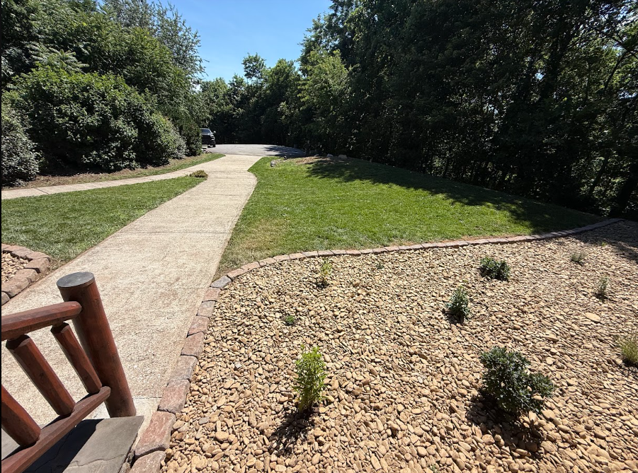 Recent Project