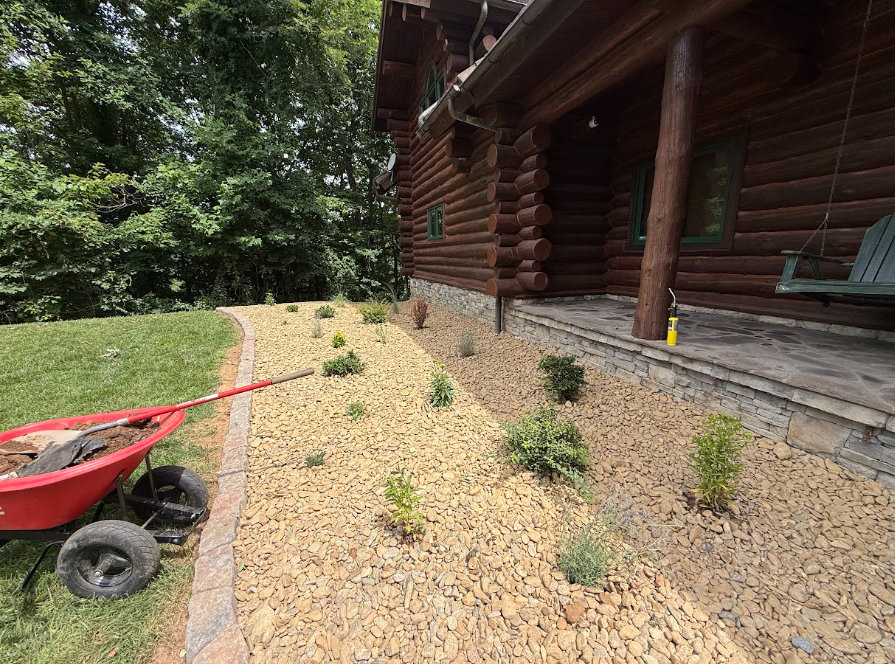 Recent Project