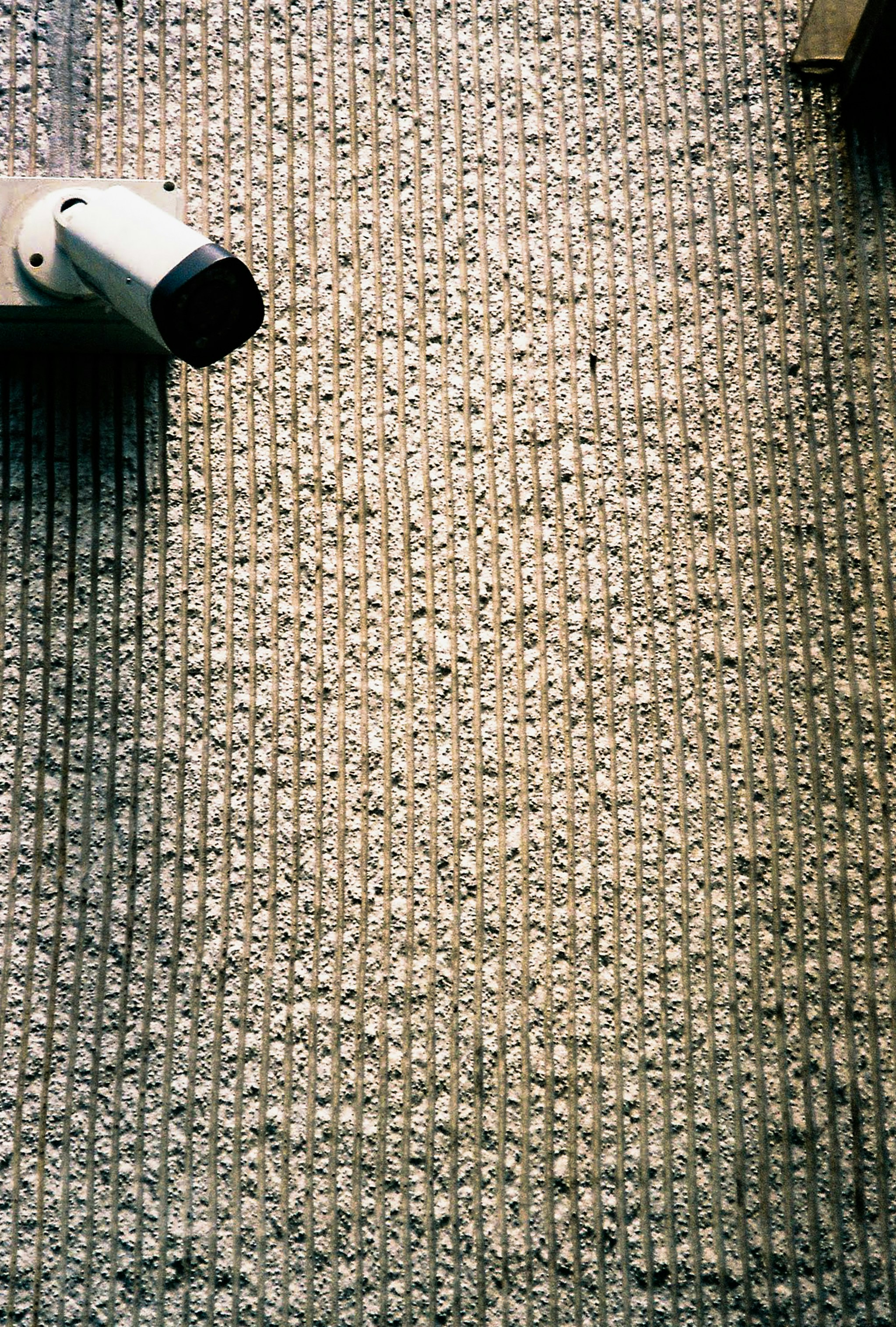 Bountiful Carpet Installation