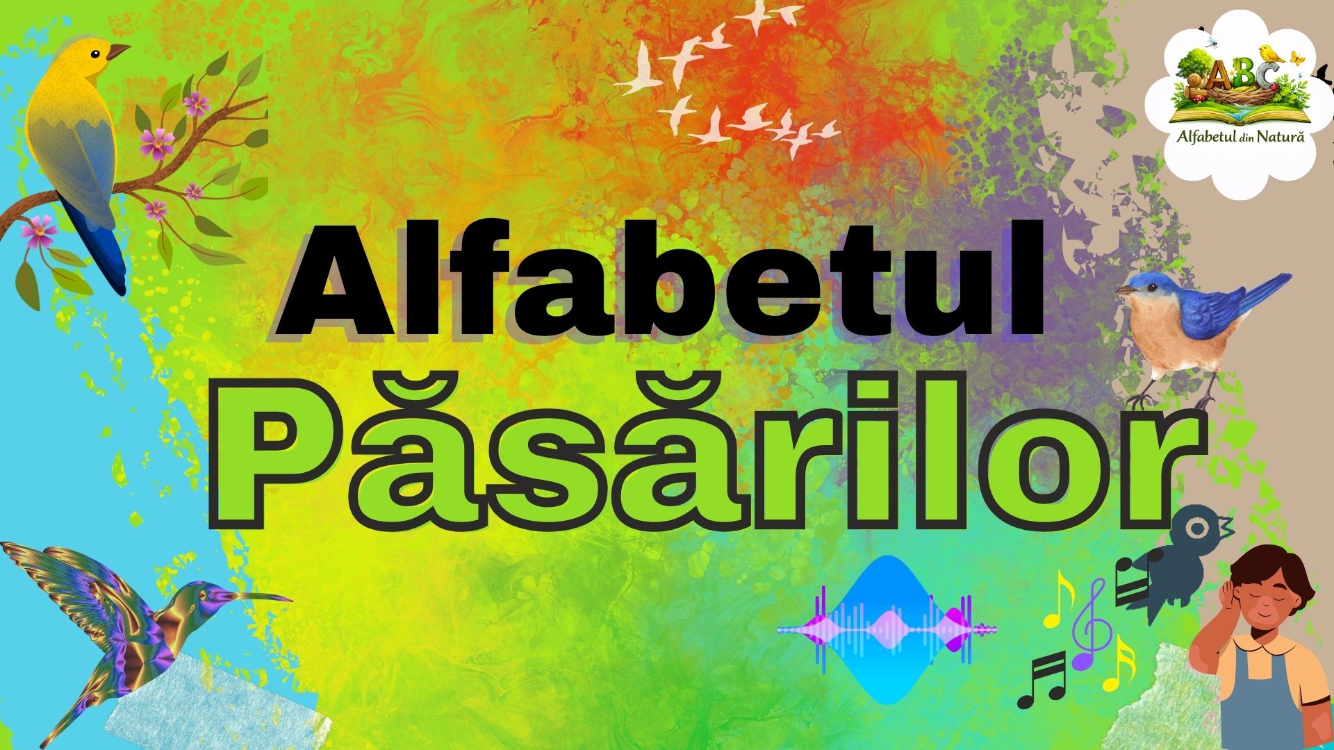 Alfabetul Păsărilor