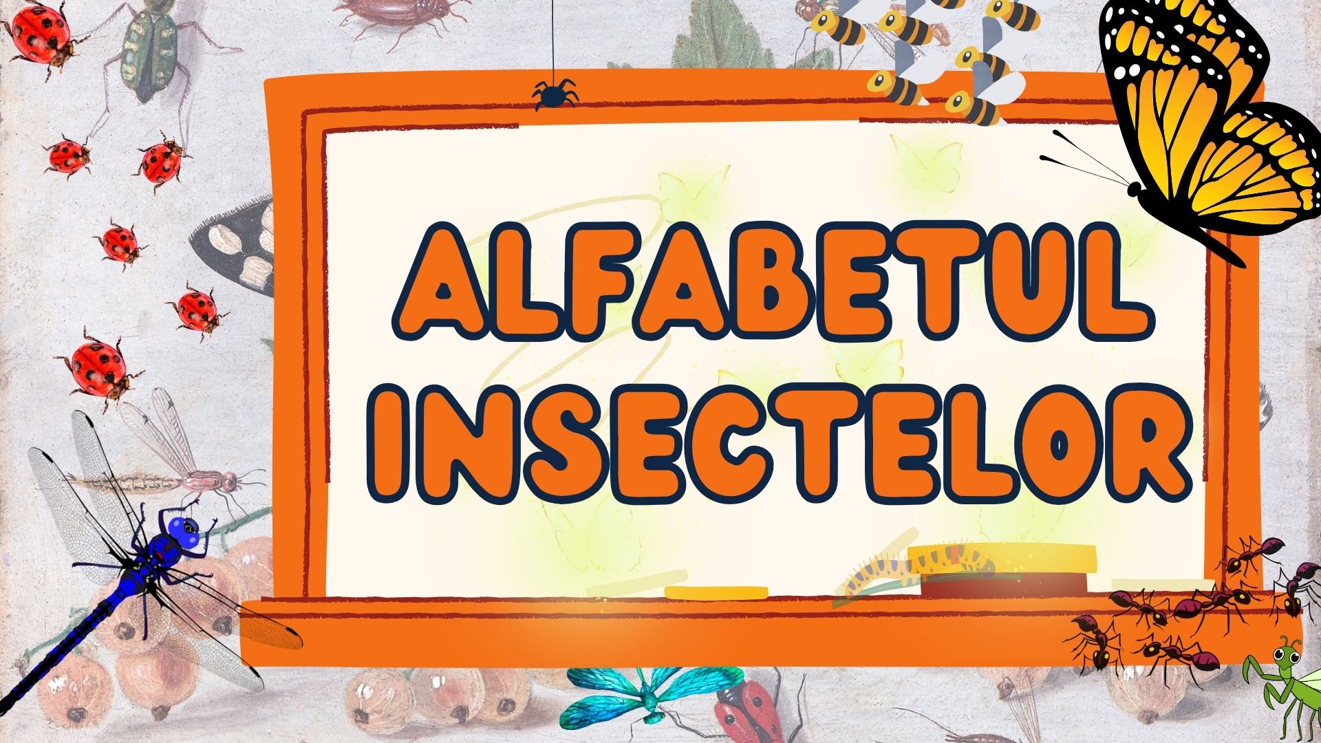 Alfabetul insectelor