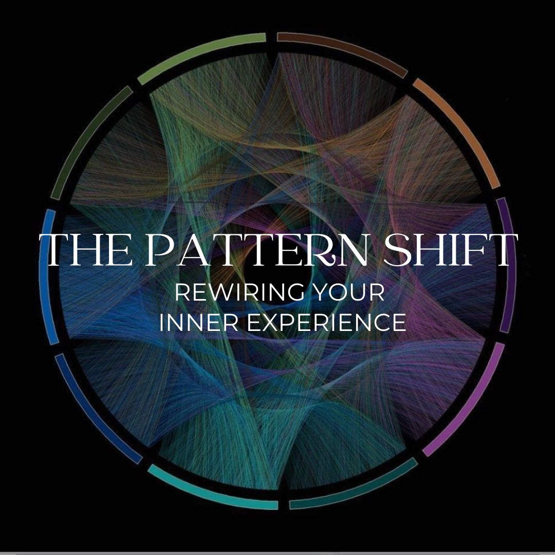 The Pattern Shift - New Zealand Tour