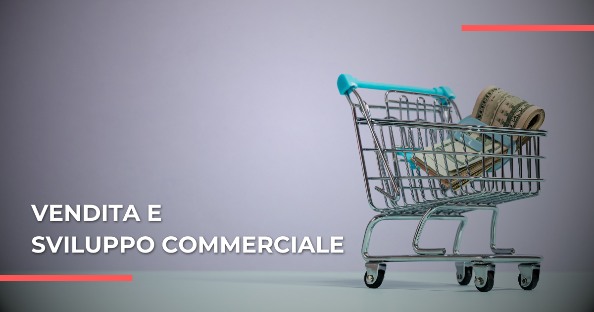 Vendita e sviluppo commerciale