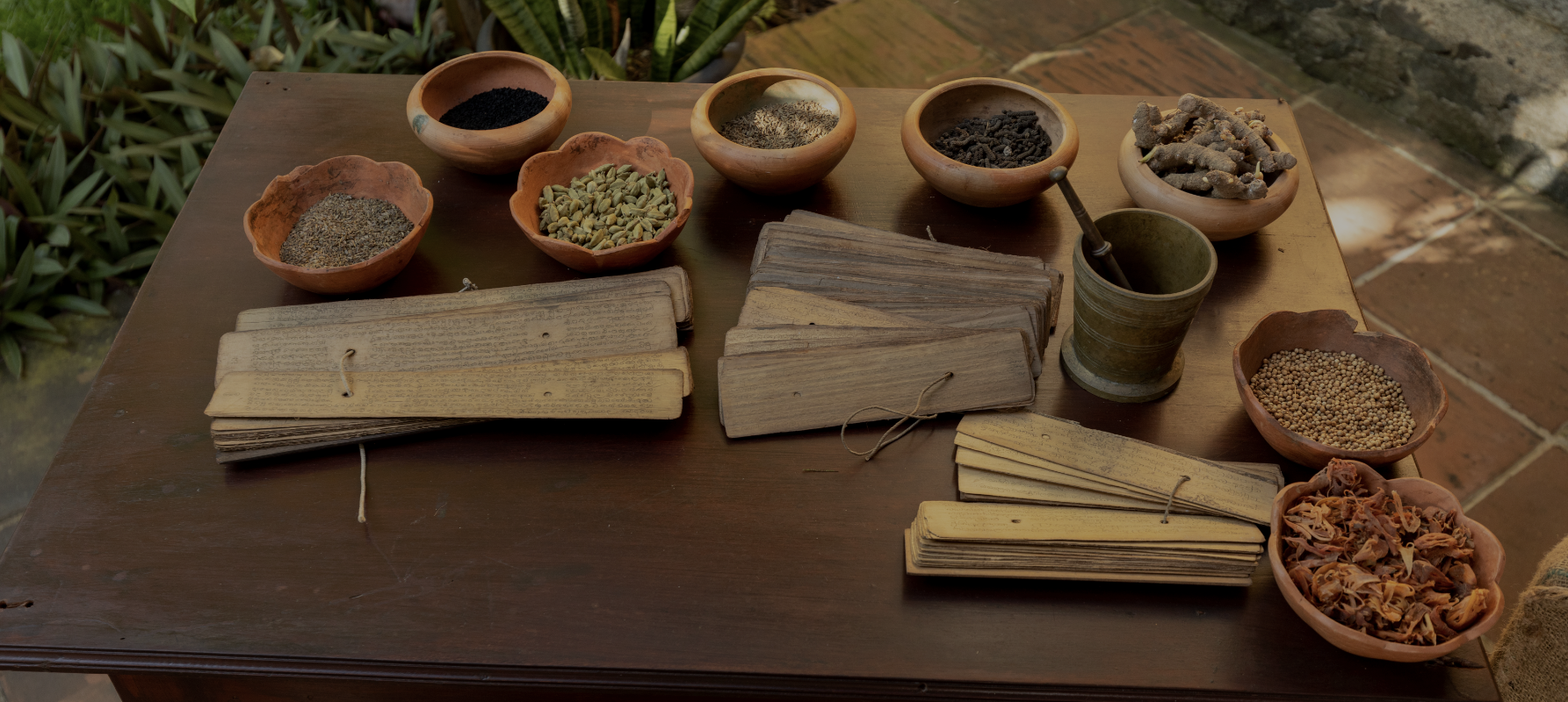 Traditional Ayurvedic herbs and ancient healing manuscripts at an authentic Ayurvedic retreat in Sri Lanka.