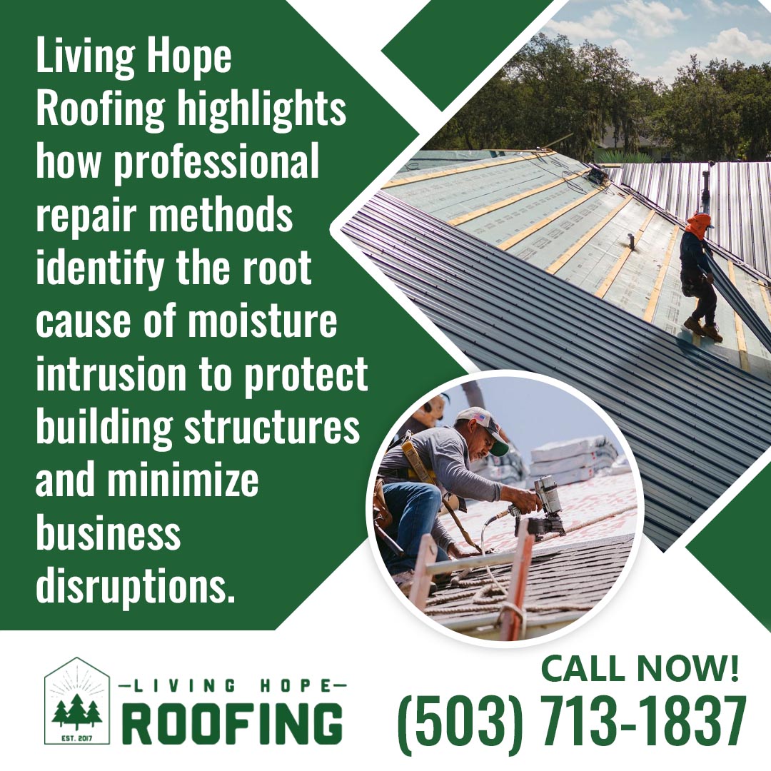 Living Hope Roofing graphic showing two contractors performing metal roof repairs, with text explaining how professional repair methods identify the root cause of moisture intrusion to protect structures and minimize business disruptions. Living Hope Roofing graphic showing two contractors performing metal roof repairs, with text explaining how professional repair methods identify the root cause of moisture intrusion to protect structures and minimize business disruptions.