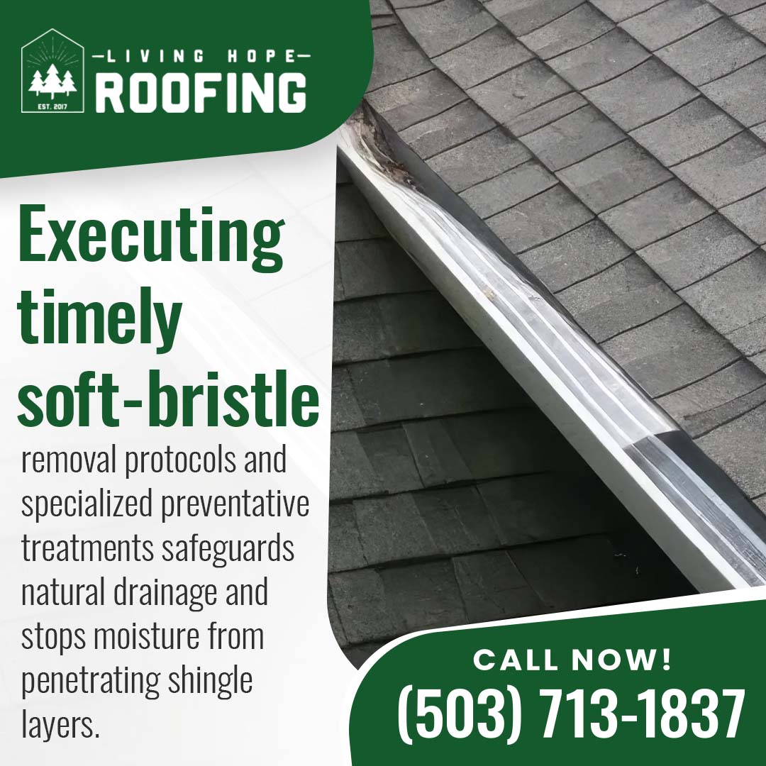 Close-up of a residential roof and gutter system highlighting maintenance and debris prevention for long-term roof protection.