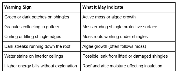 Table outlining common roof moss damage warning signs, including dark patches, granule loss, curling shingles, water stains, and higher energy bills.