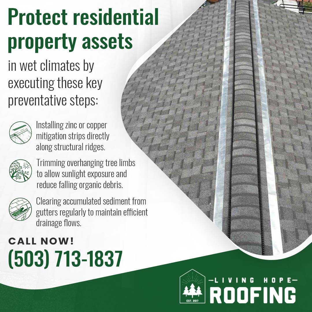 Residential asphalt shingle roof featuring ridge protection and maintenance measures designed to improve drainage and prevent moisture damage.