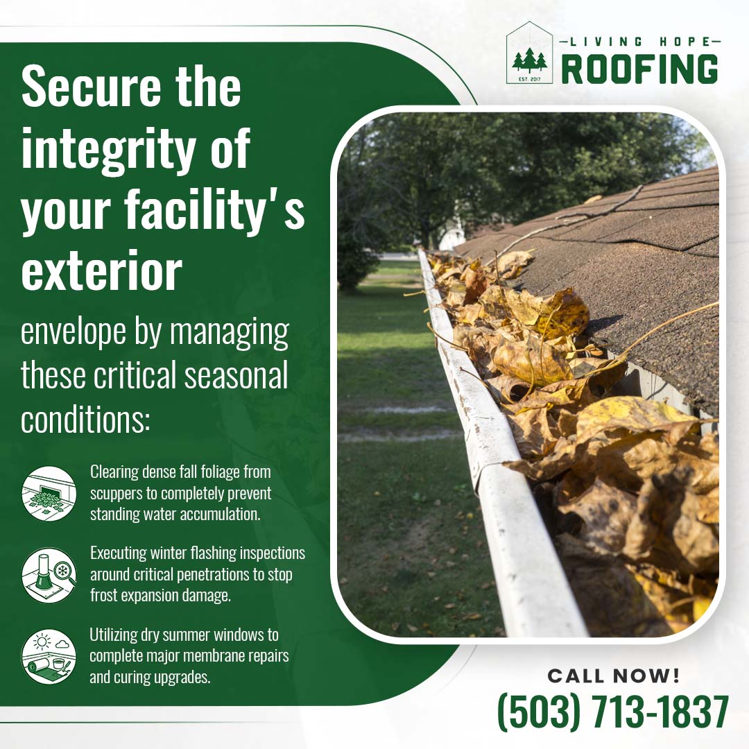 Clogged gutter filled with leaves along a residential roof, highlighting the importance of seasonal roof and drainage maintenance.