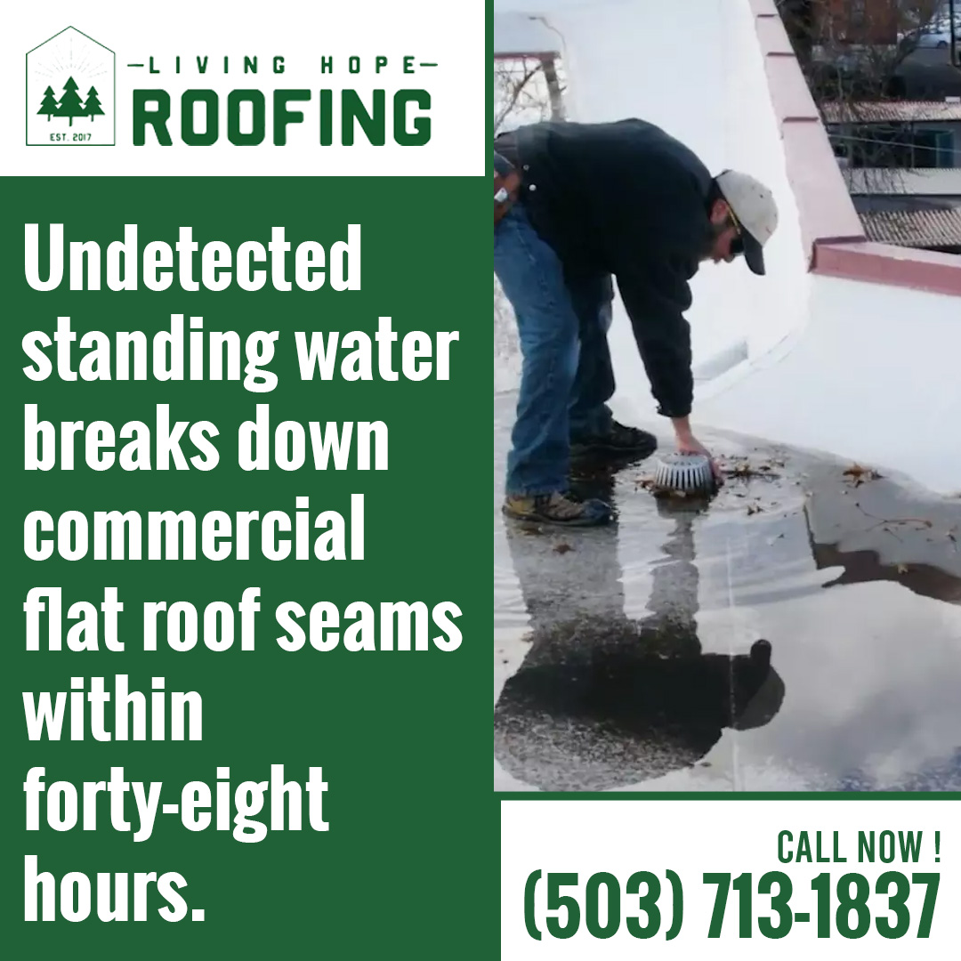 Roofing specialist clearing debris from a rooftop drain submerged in pooled standing water on a commercial flat roof.