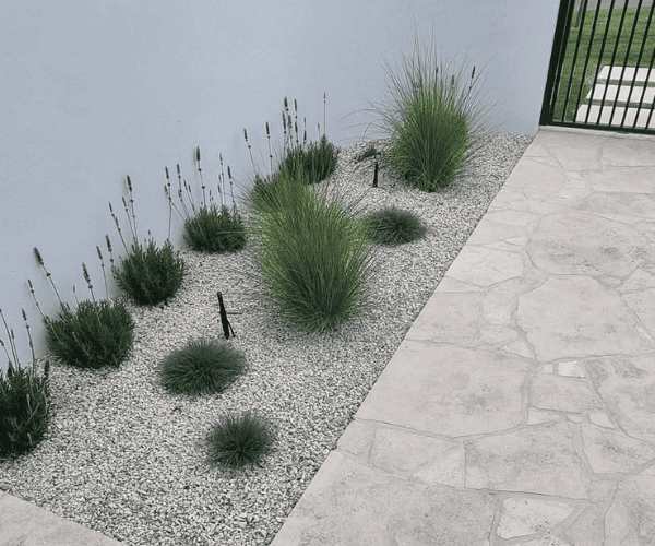 Pool Area Landscaping Bogangar