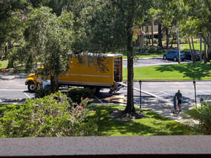 {{ custom_values.service_3 }} in {{custom_values.area_3})