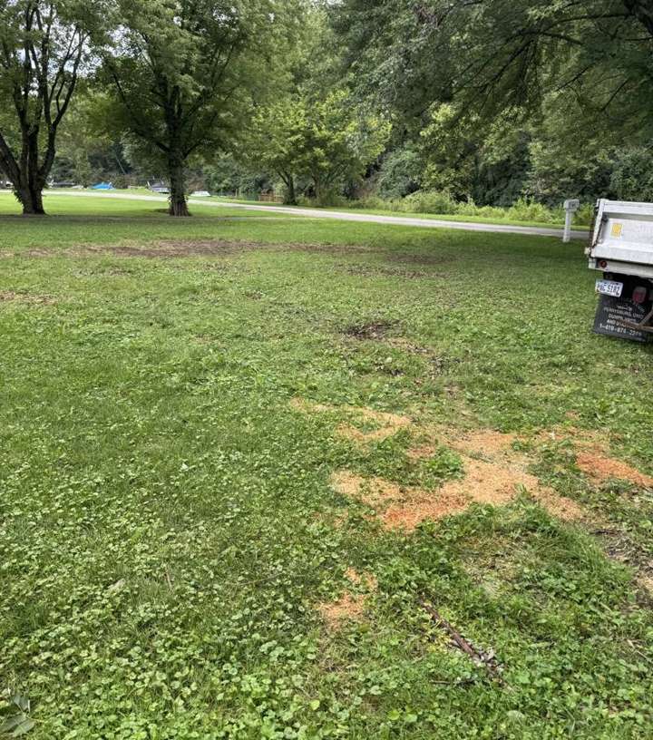 The same backyard after stump grinding, ready for grass