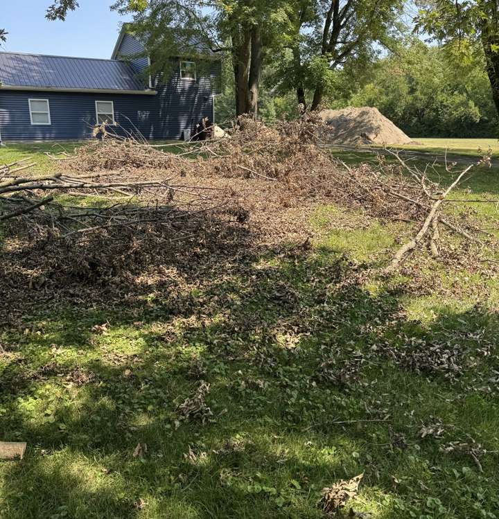 Brush and branches cleared into a pile at the edge of a yard