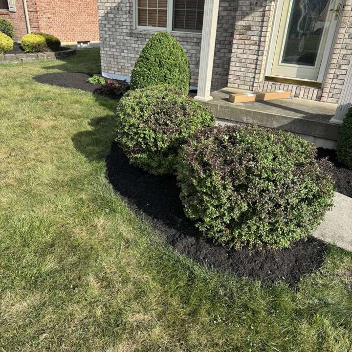 Fresh mulch bed with rounded shrubs next to a front porch