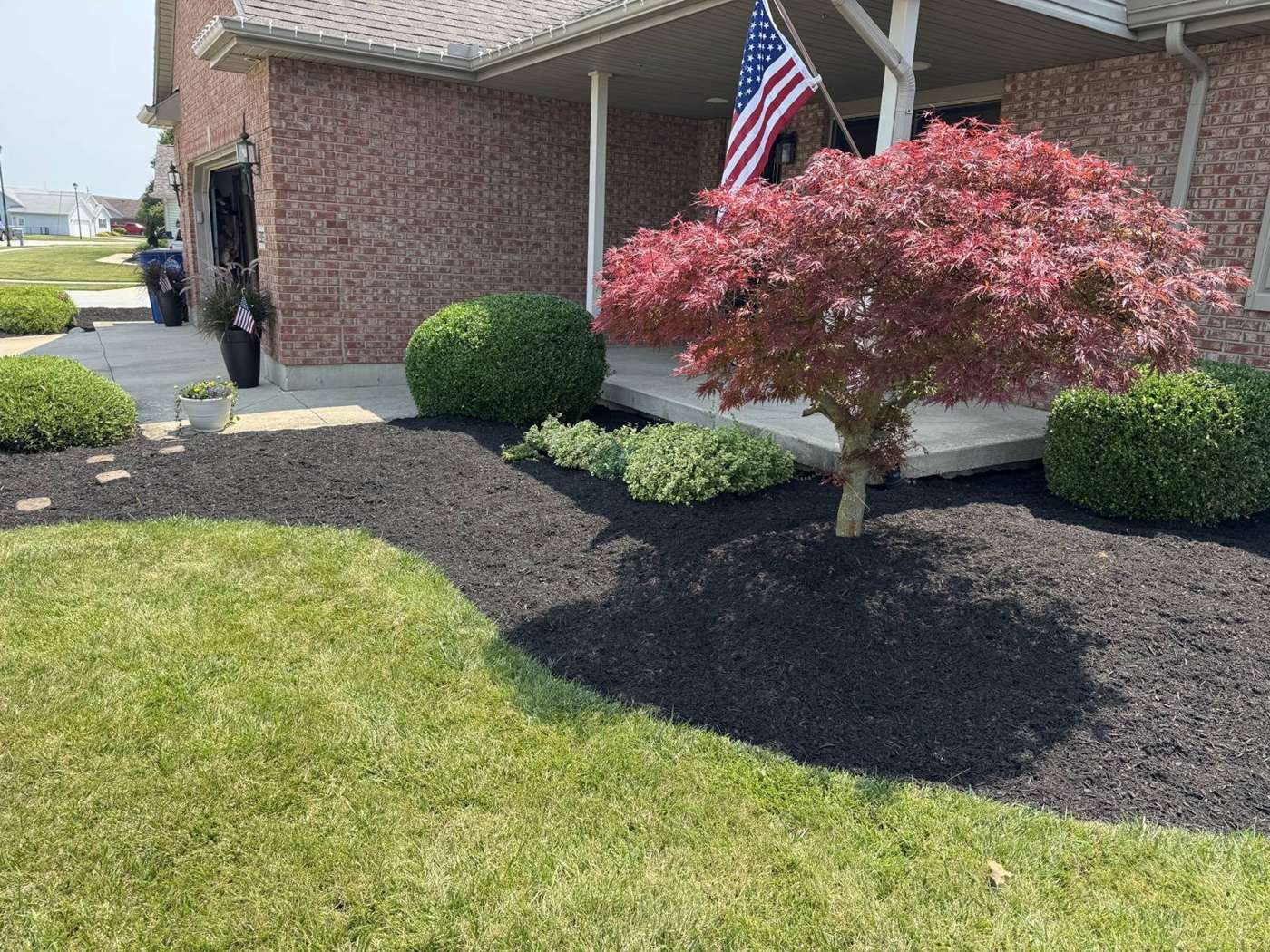 Front yard with a fresh mulch bed, trimmed shrubs and a red Japanese maple, finished by Kincaid Landscaping