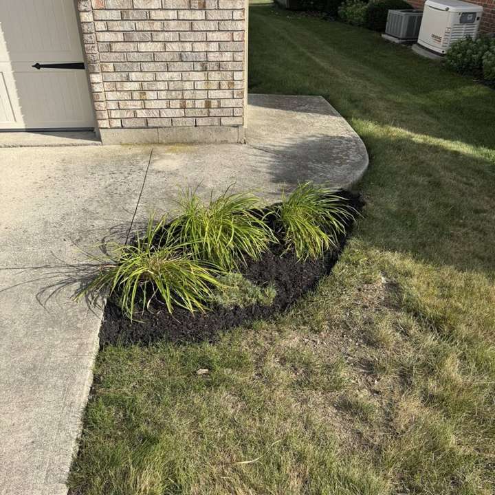 Mulched bed with ornamental grasses beside a driveway