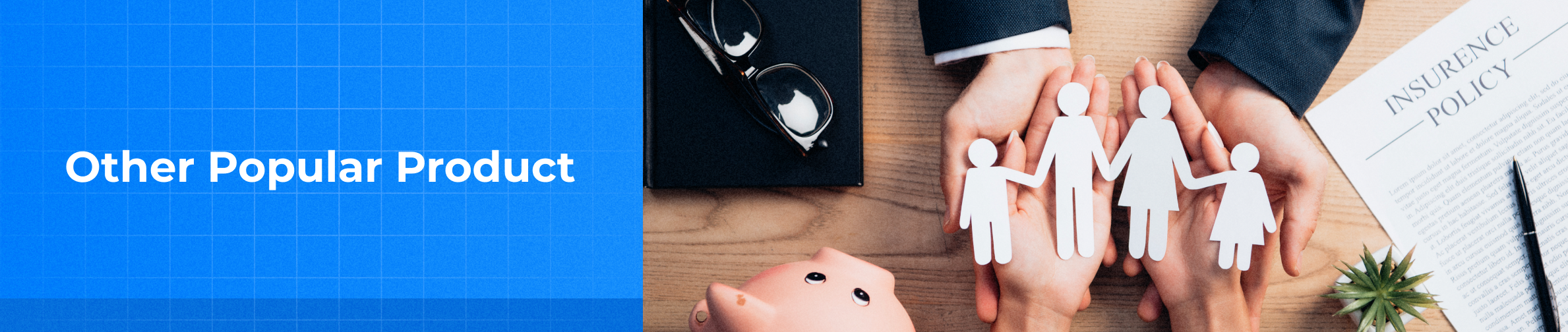 Other Popular Product