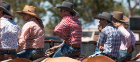 Rodeo Action