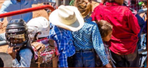 Campdraft Showcase