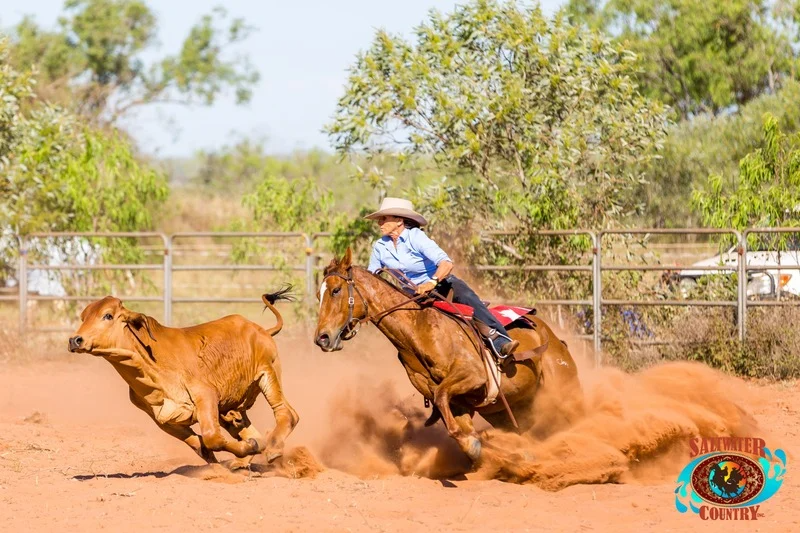 Cattle Chase