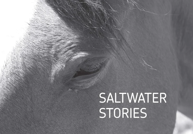 Saltwater Stories horse eye