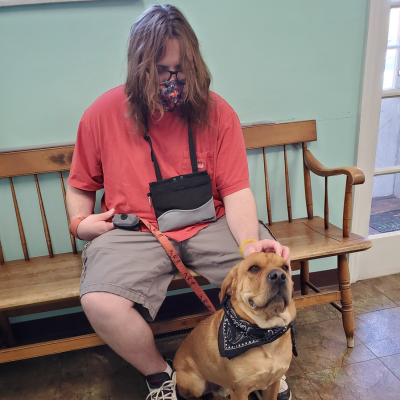 Serviceberry Collective Inc. assistance animal education
