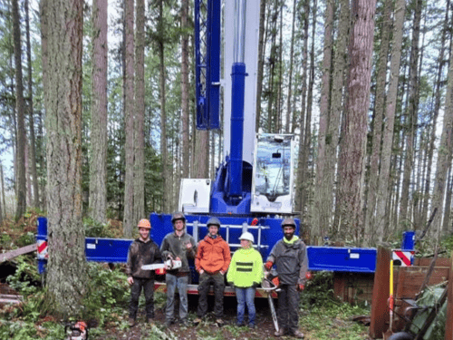 Crane-Assisted Tree Removal in Roy