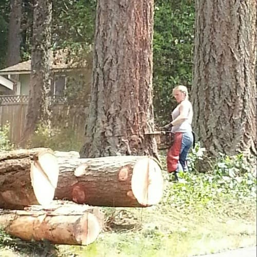 Puyallup Tree Removal