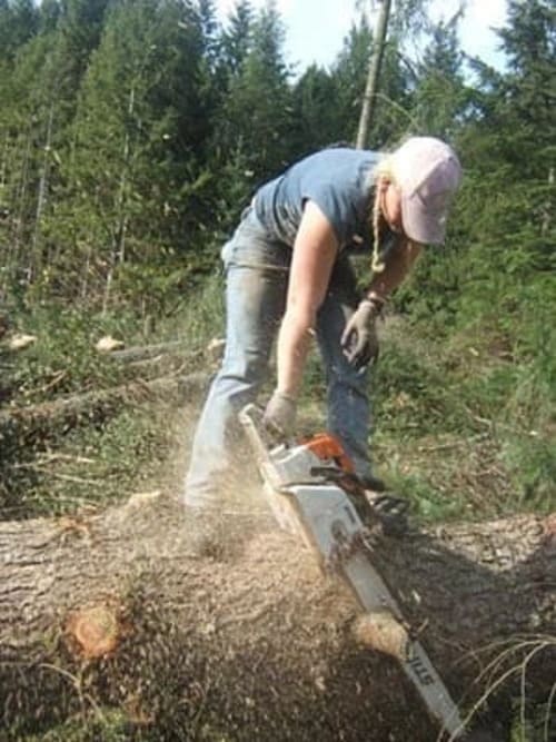 Puyallup Tree Trimming