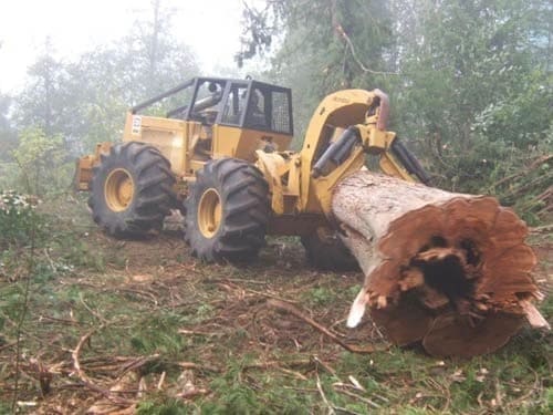 Puyallup Debris Cleanup
