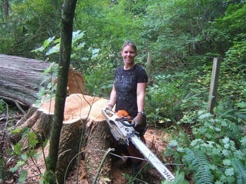 Tree Removal Roy