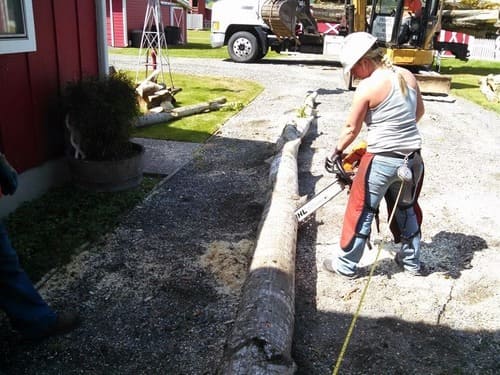 Emergency Tree Service Roy