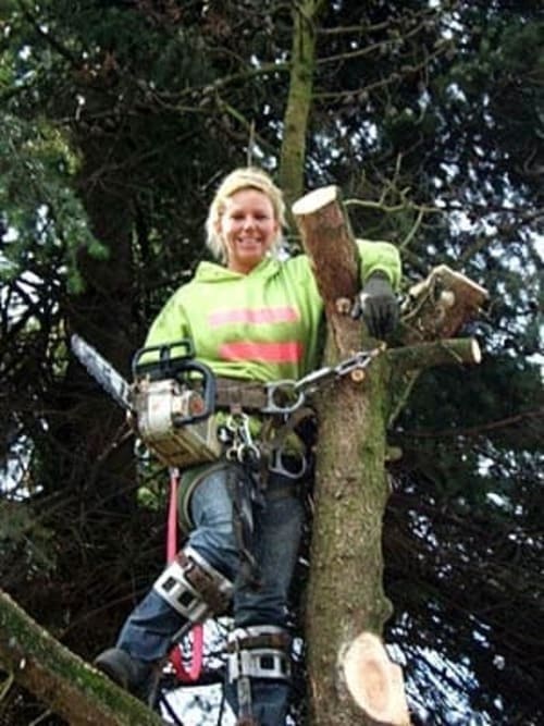 Hazardous Tree Removal Roy