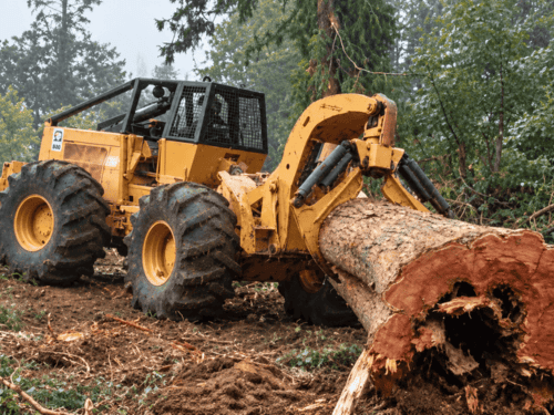 Debris Cleanup in Roy