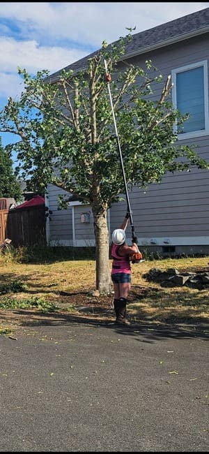 Roy Tree Trimming