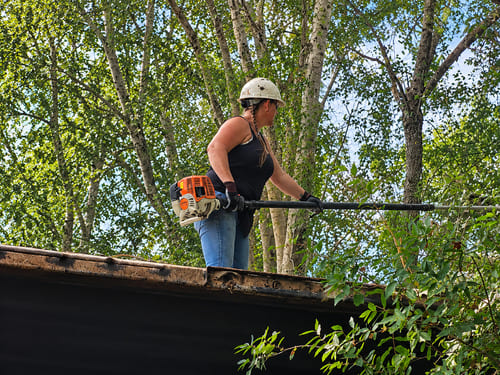 Tree Trimming in Roy