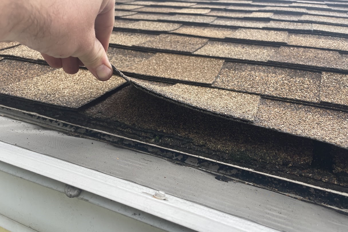 Shingle services and roof repairs