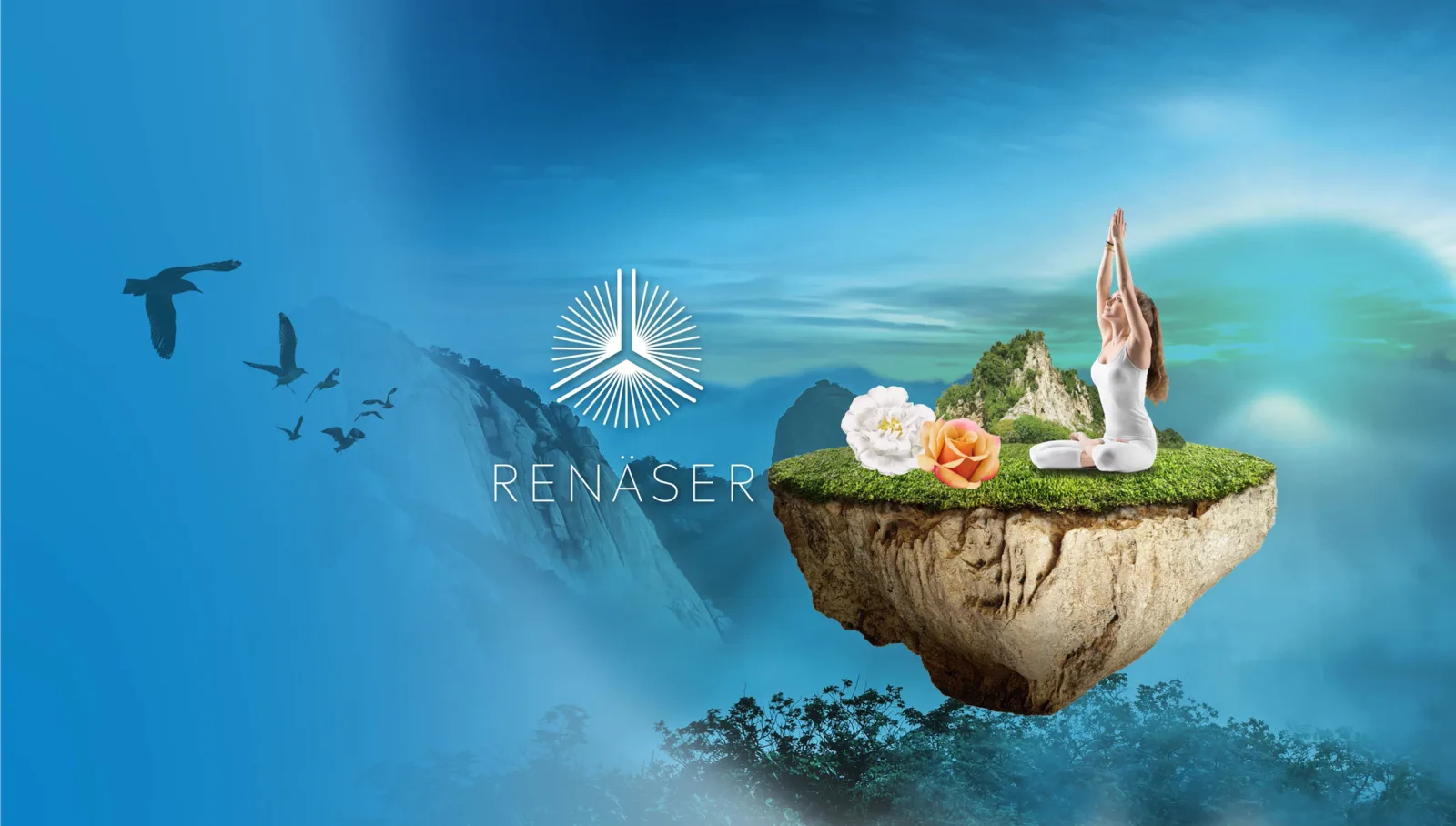 4 pasos para Renäser