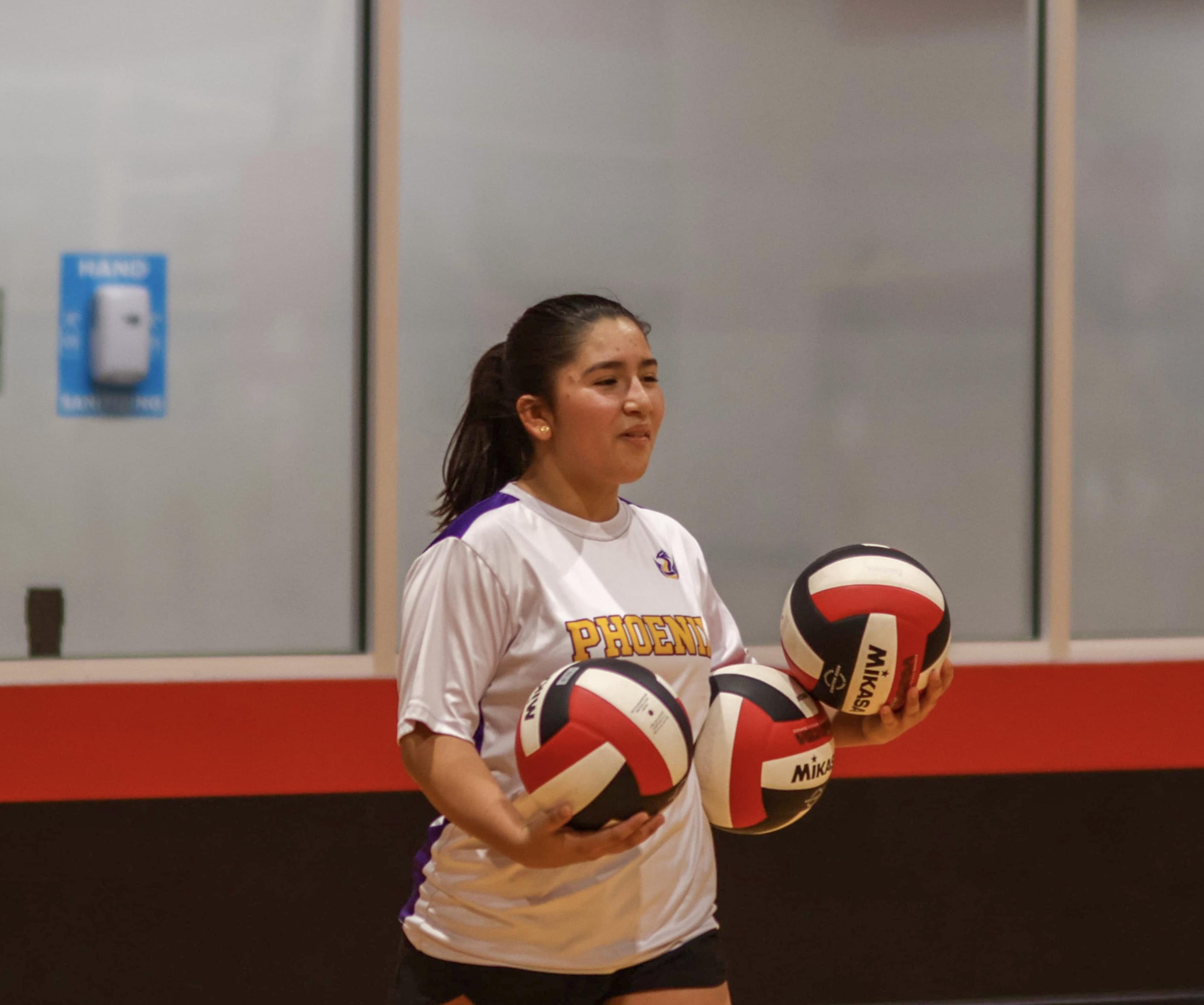 Phoenix VBA training