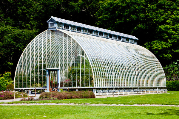 greenhouse
