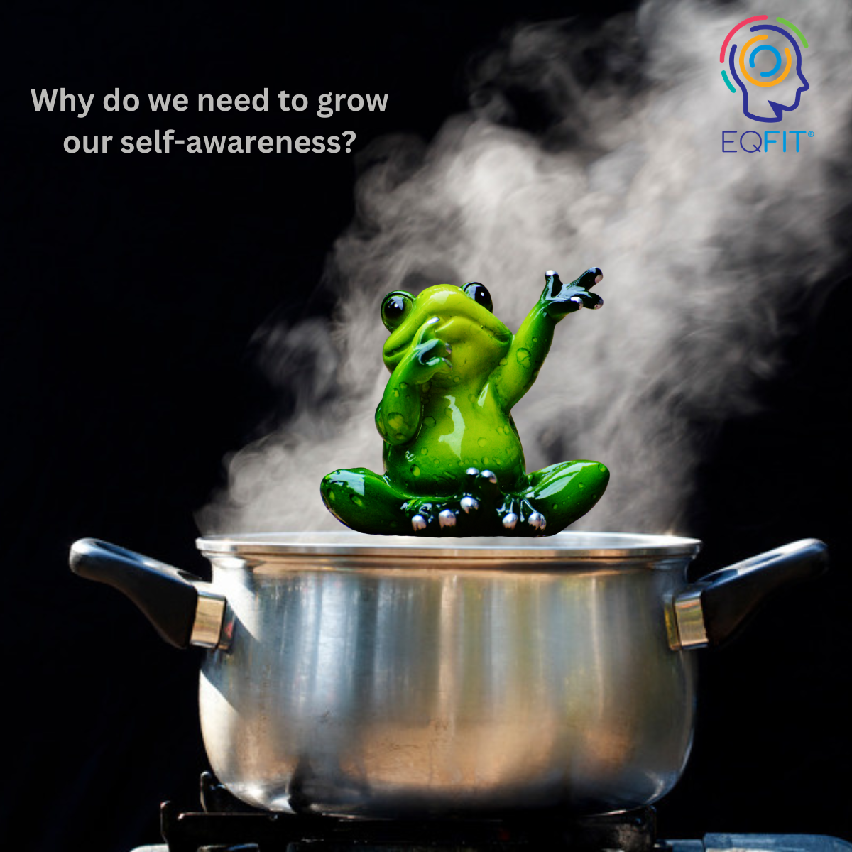 frog in steam - self awareness