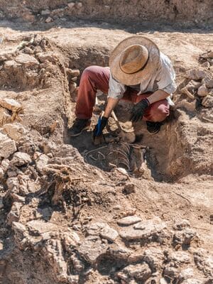 {{ custom_values.service_1 }} in {{custom_values.area_2})