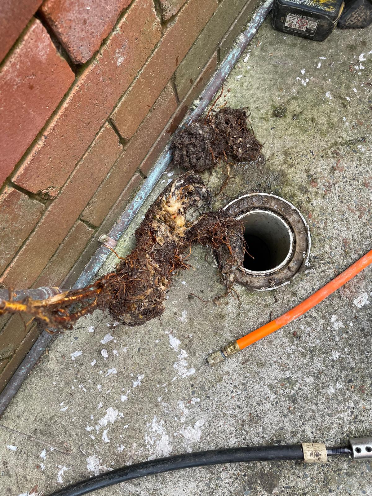 Blocked Drains on the Gold Coast — Plumber ASAP